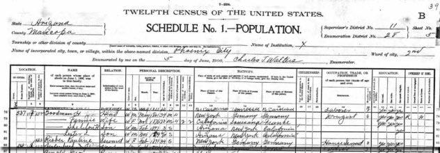 fannie-goodman-1900-census